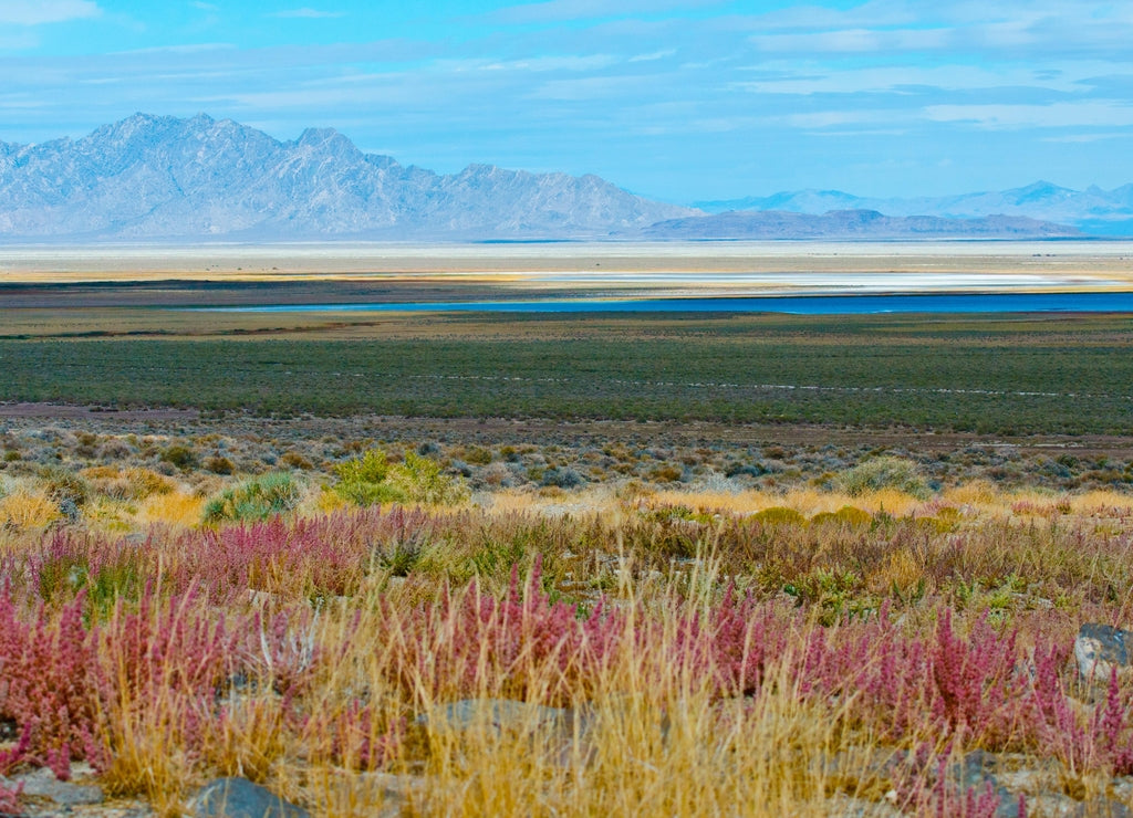 USA, Utah. Pony Express Road, Fish Springs National Wildlife Refuge scenic landscape views