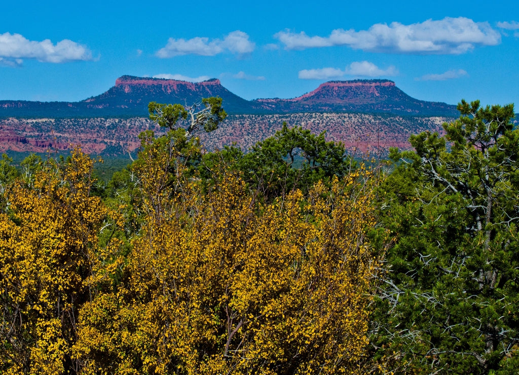 USA, Utah, Bluff, The Bears Ears of the Bears Ears National Monument
