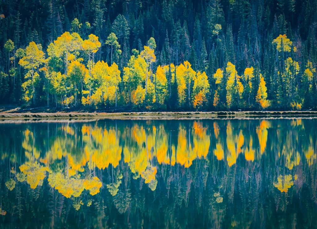 Autumn Colors at Fish Lake Near Richfield Utah