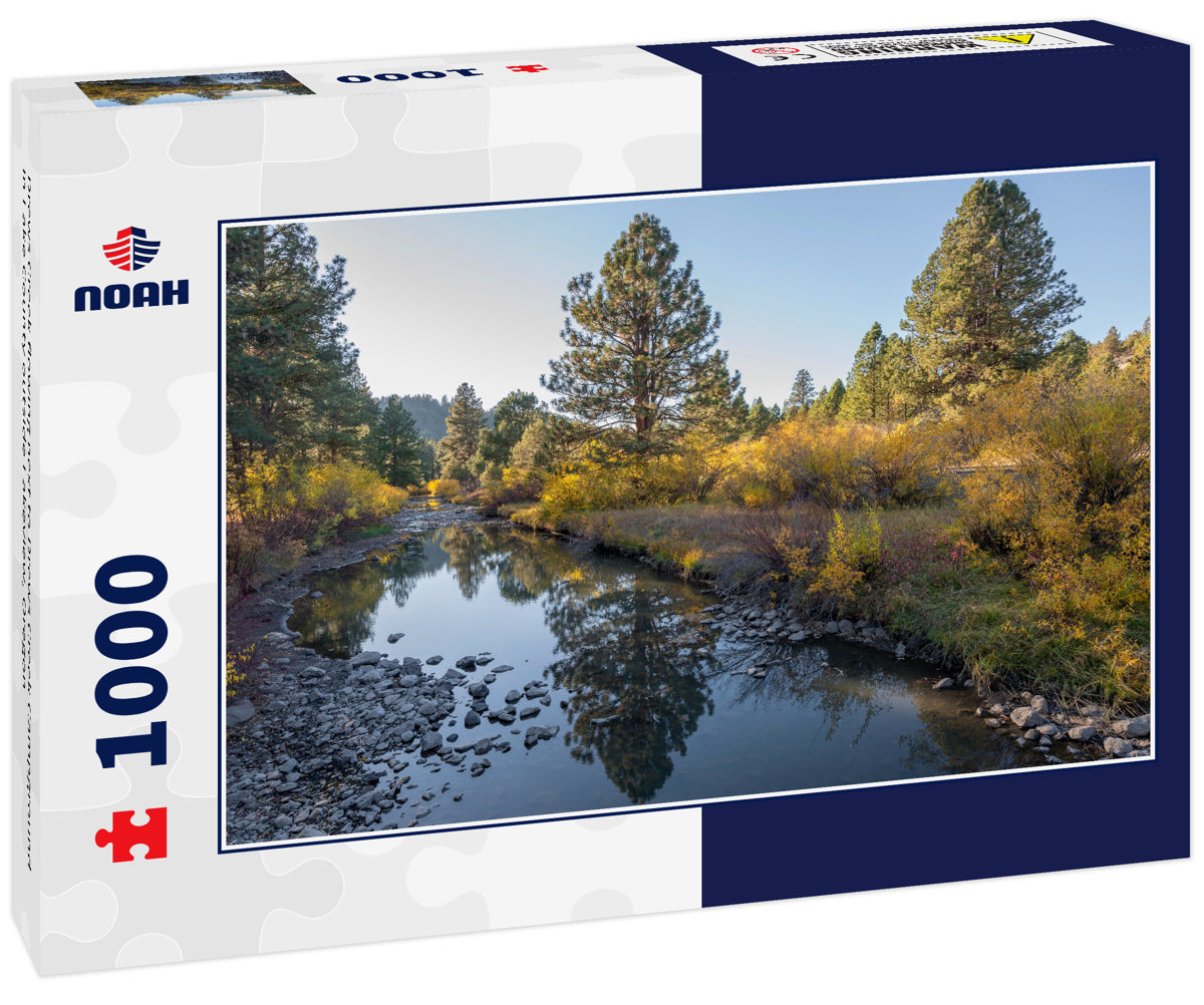 Drews Creek flowing next to Drews Creek Campground in Lake County outside Lakeview, Oregon