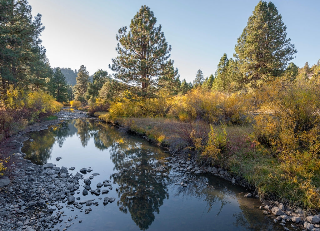 Drews Creek flowing next to Drews Creek Campground in Lake County outside Lakeview, Oregon
