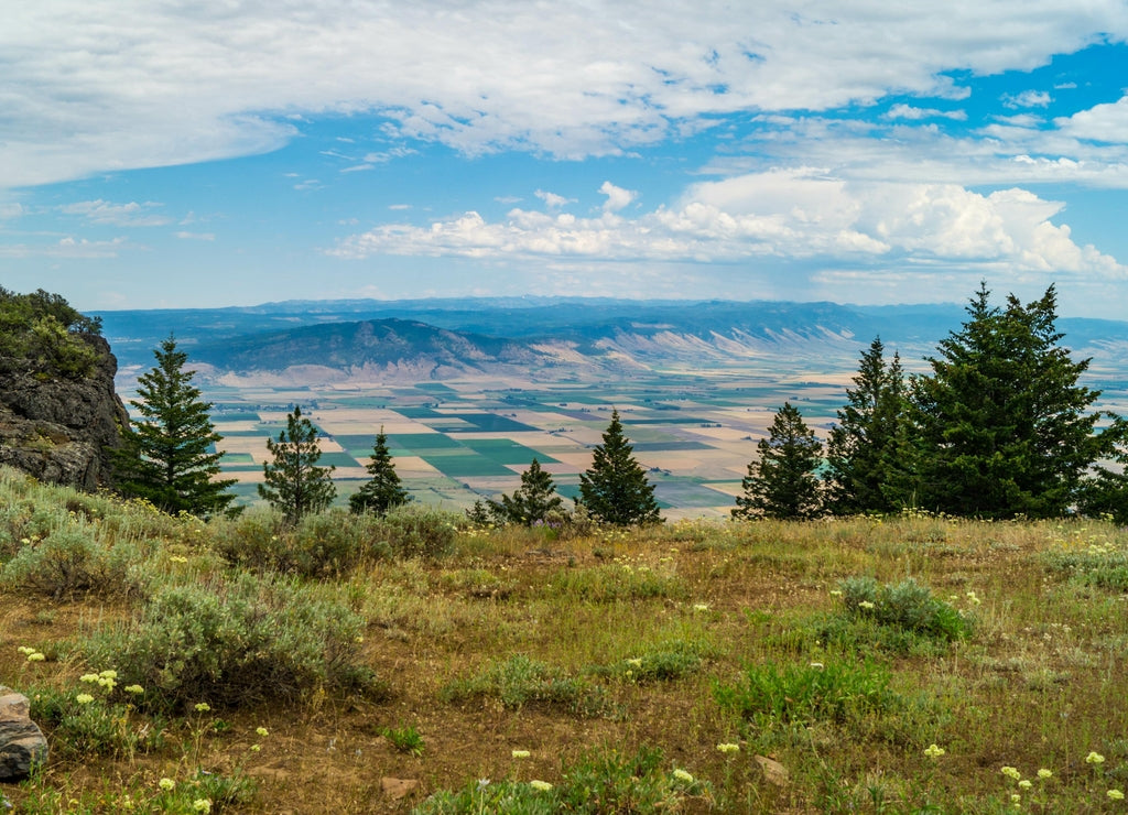 Wallowa-Whitman National Forest near La Grande, Oregon, USA