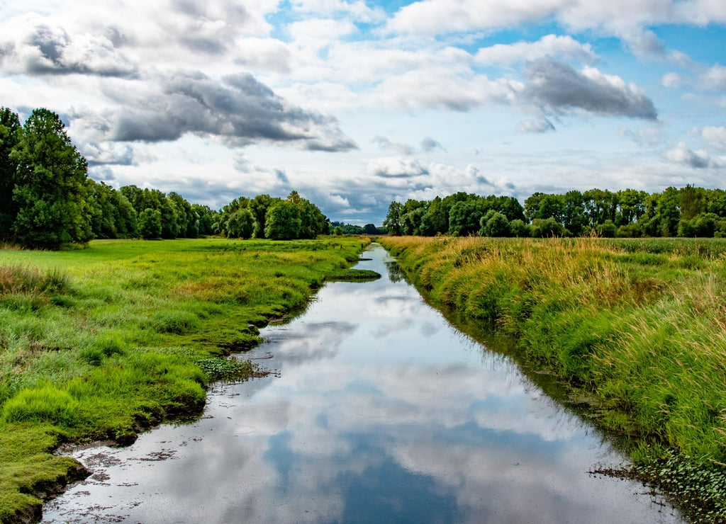 Reflecting Water Creek on Summer Day in Oregon Countryside Meadow - Ridgefield National Wildlife Refuge, Washington