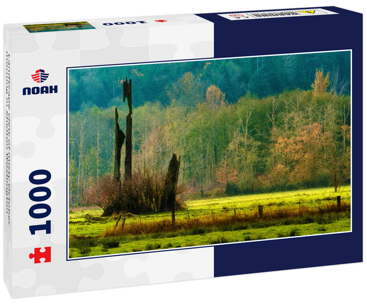 Landscape view of misty October morning in Shelton Washington