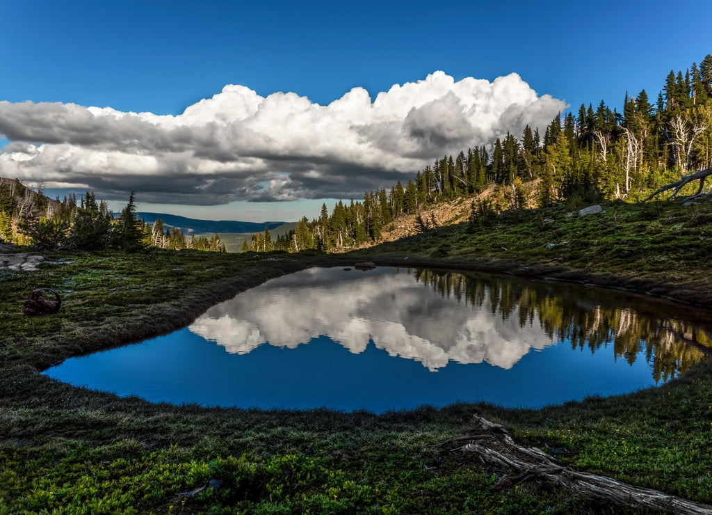 Snow melt pond, Goat Rocks Wilderness, Cascade Range, Washington State