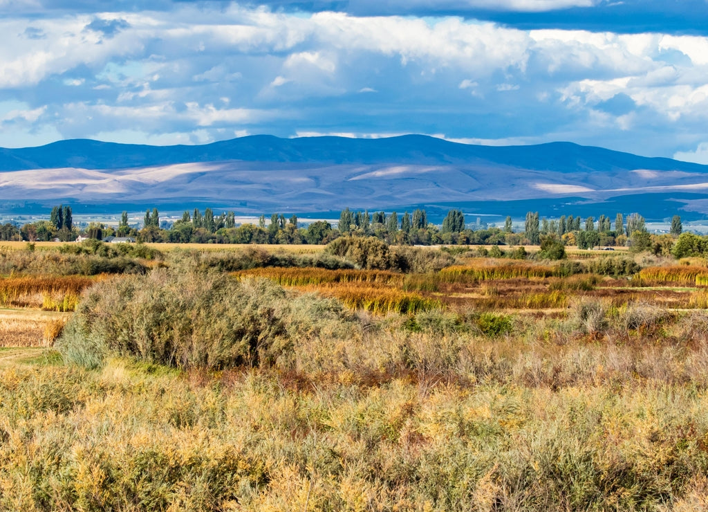 Toppenish National Wildlife Refuge in Eastern Washington