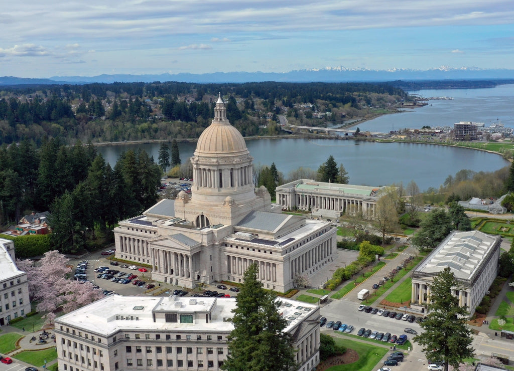 Spring Cherry Blossoms at the State Capital Building in Olympia Washington