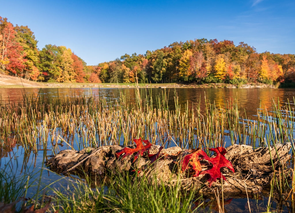 An autumn scene at Boley Lake. Fall is just one of the beautiful seasons to visit this pristine mountain top lake. Boley Lake is located within Babcock State Park (Fayette County) in West Virginia