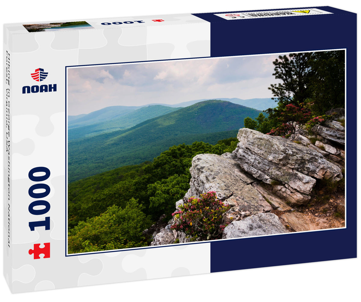 Hiking in George Washington National Forest, Virginia, USA