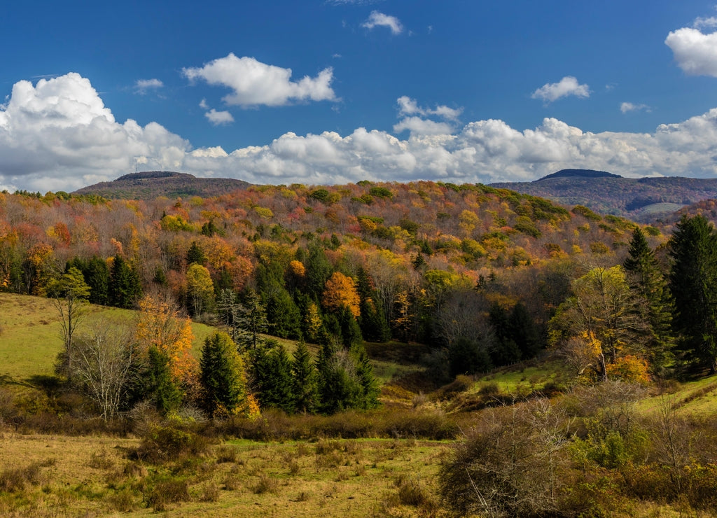 Autumn color in rural valley in Randolph County, West Virginia, USA