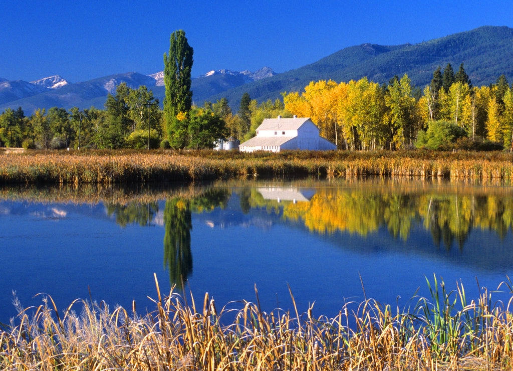 A White Barn & Fall Colors in Lee Metcalf National Wildlife Refuge