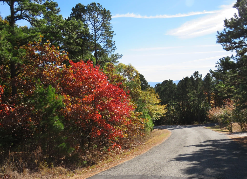 Ouachita Mountains from the top of Cavanal Hill near Poteau, Okahoma