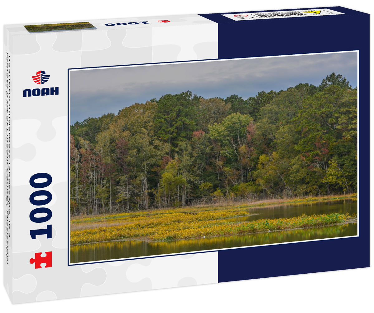 Beautiful wilderness landscape, in a remote part of Lincoln County, Mississippi