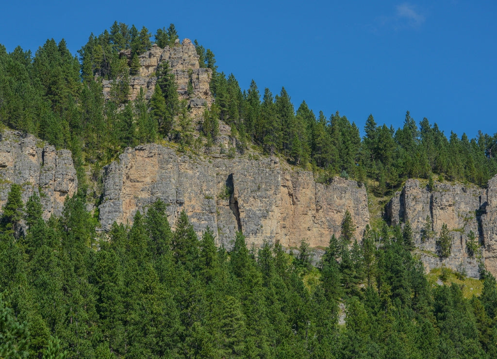 The Spearfish Canyon in the Black Hills of Savoy, Lawrence County, South Dakota