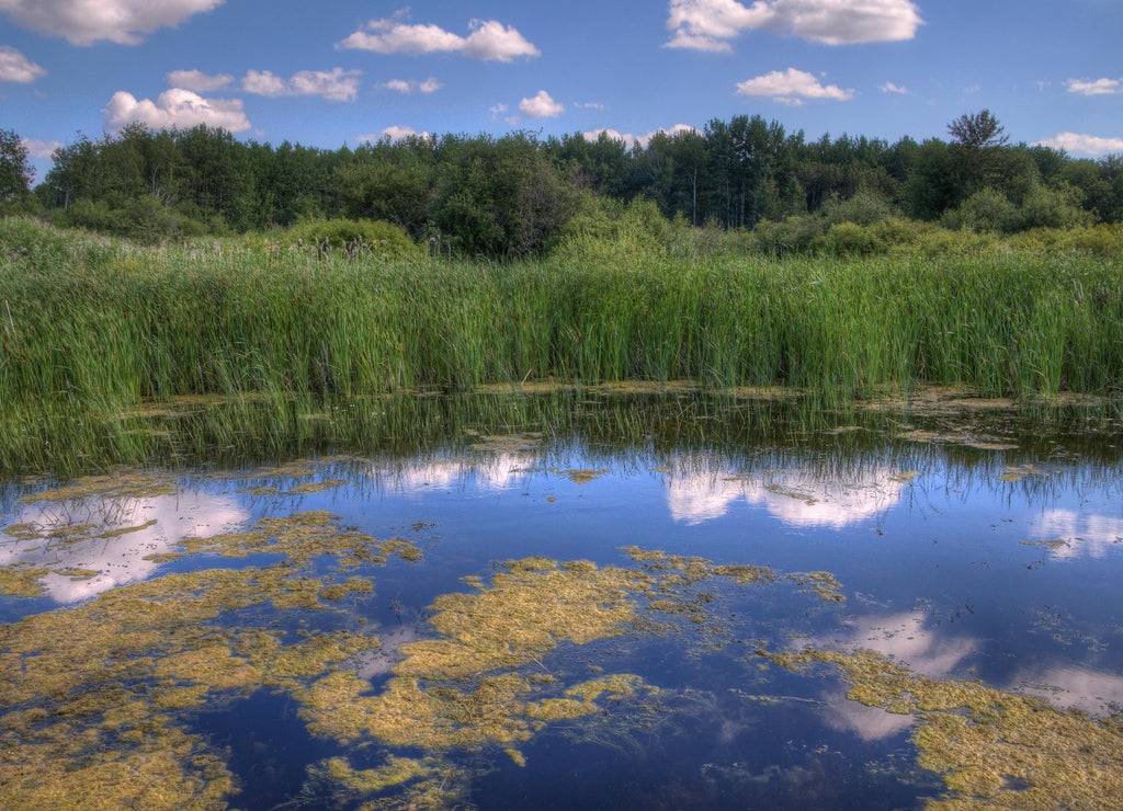 Zippel Bay State Park on Lake of the Woods, Minnesota