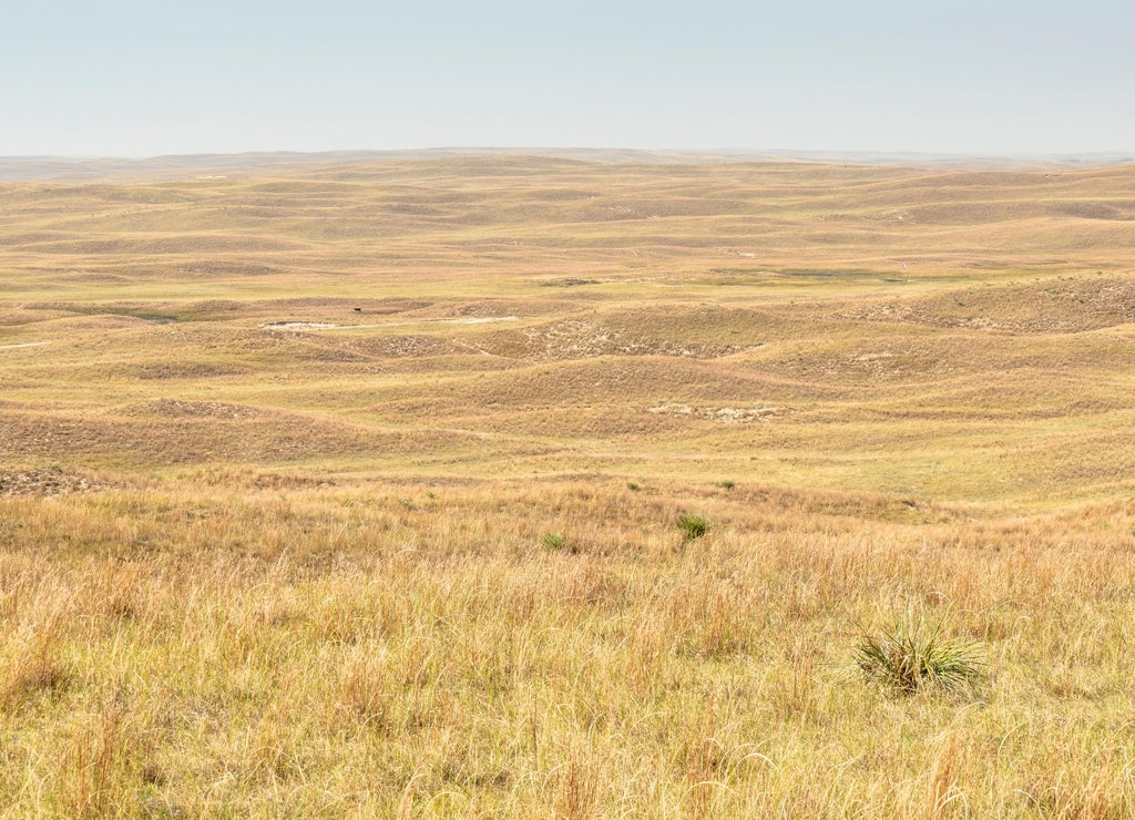 midday view of Nebraska Sandhills between Arthur and Whitman, early fall scenery with haze from Colorado wildfires