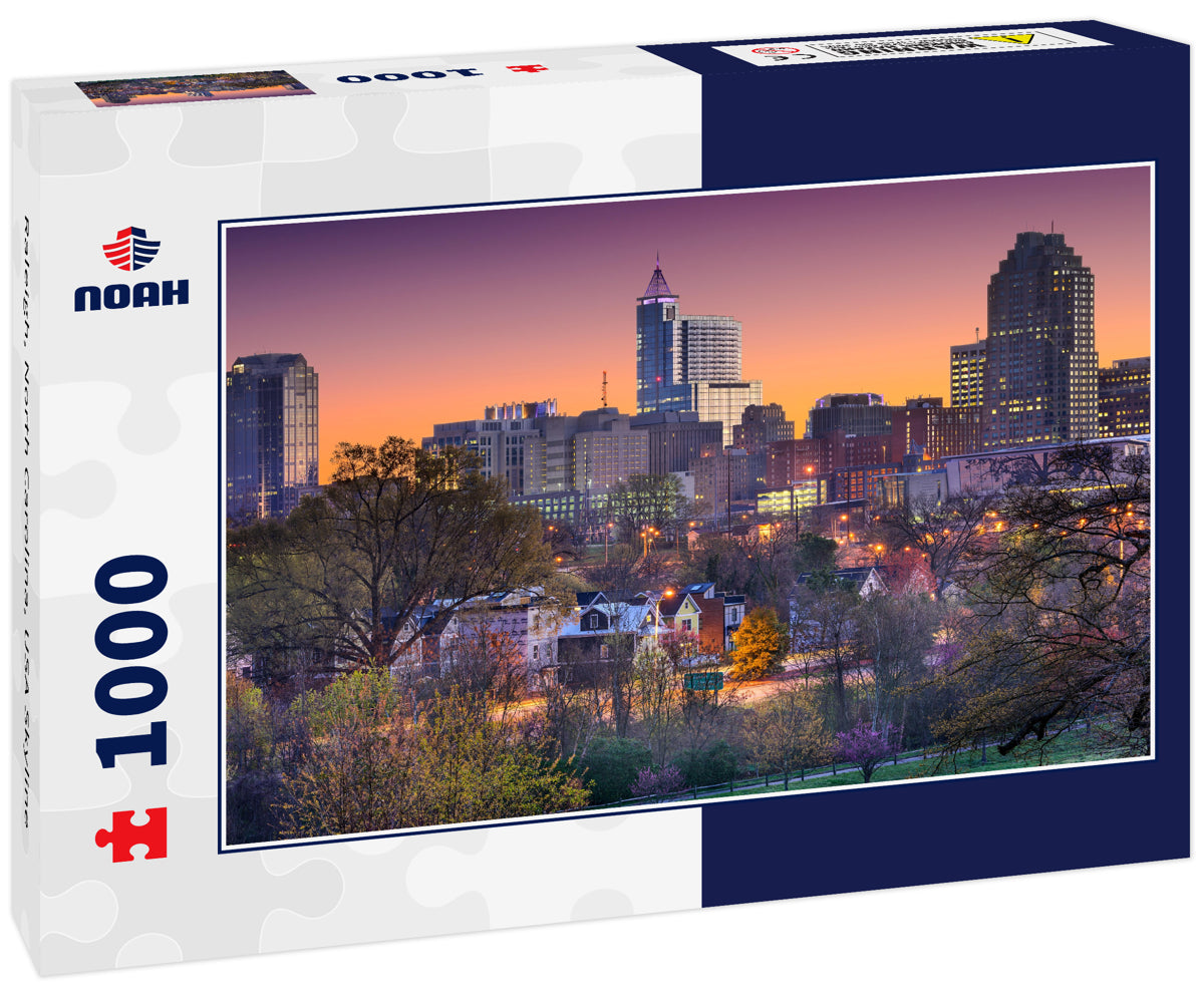 Raleigh, North Carolina, USA Skyline