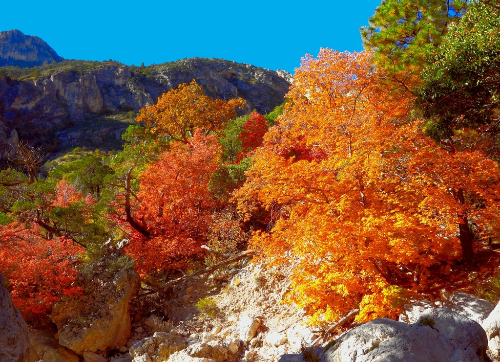 Guadalupe Mountains National Park