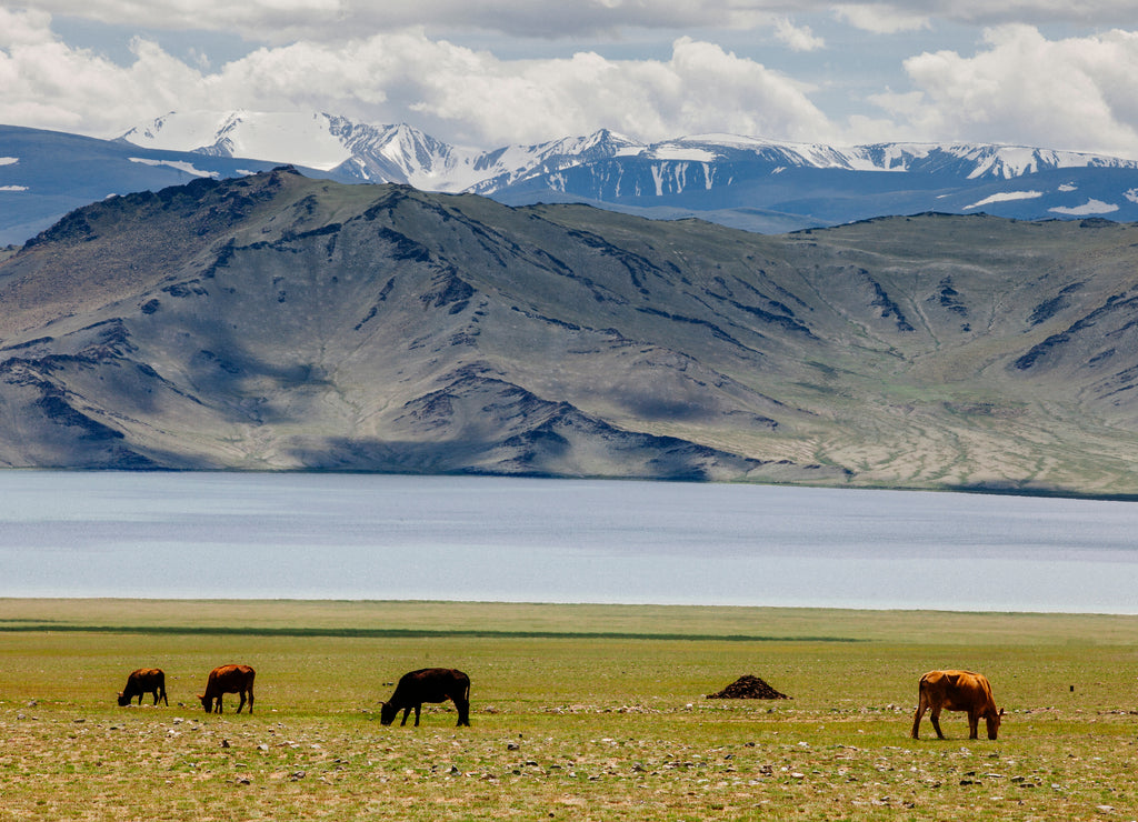 Landscape Mongolia