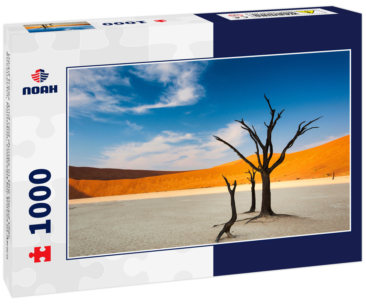 Dead trees and red dunes in the Dead Vlei, Sossusvlei, Namibia, concept for travel in Africa