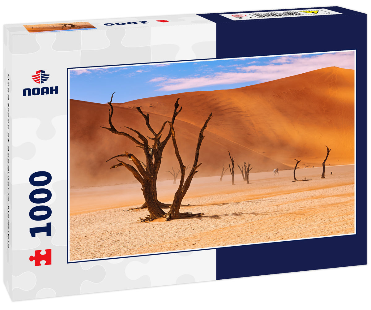 Dead trees at deadvlei in Namibia