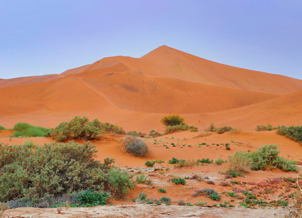 Sossusvlei (Namib-Naukluft Park) - Namibia Africa