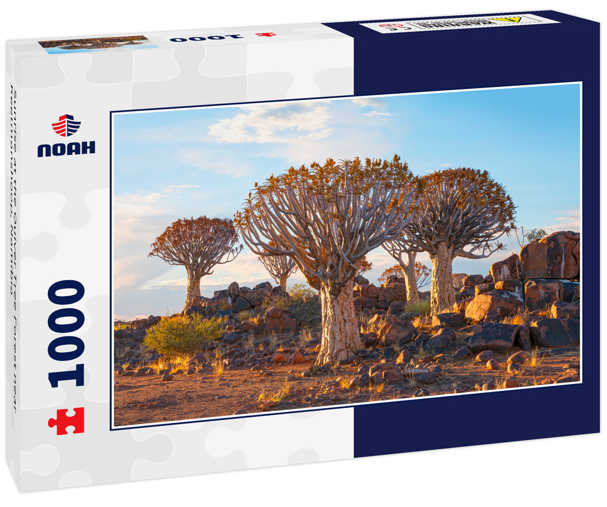 Sunrise at the Quiver Tree Forest near Keetmanshoop, Namibia