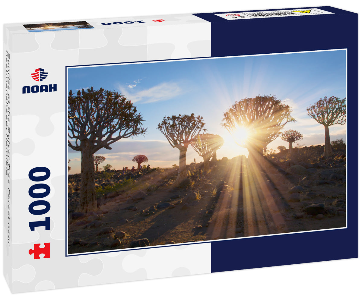 Sunrise at the Quiver Tree Forest near Keetmanshoop, Namibia