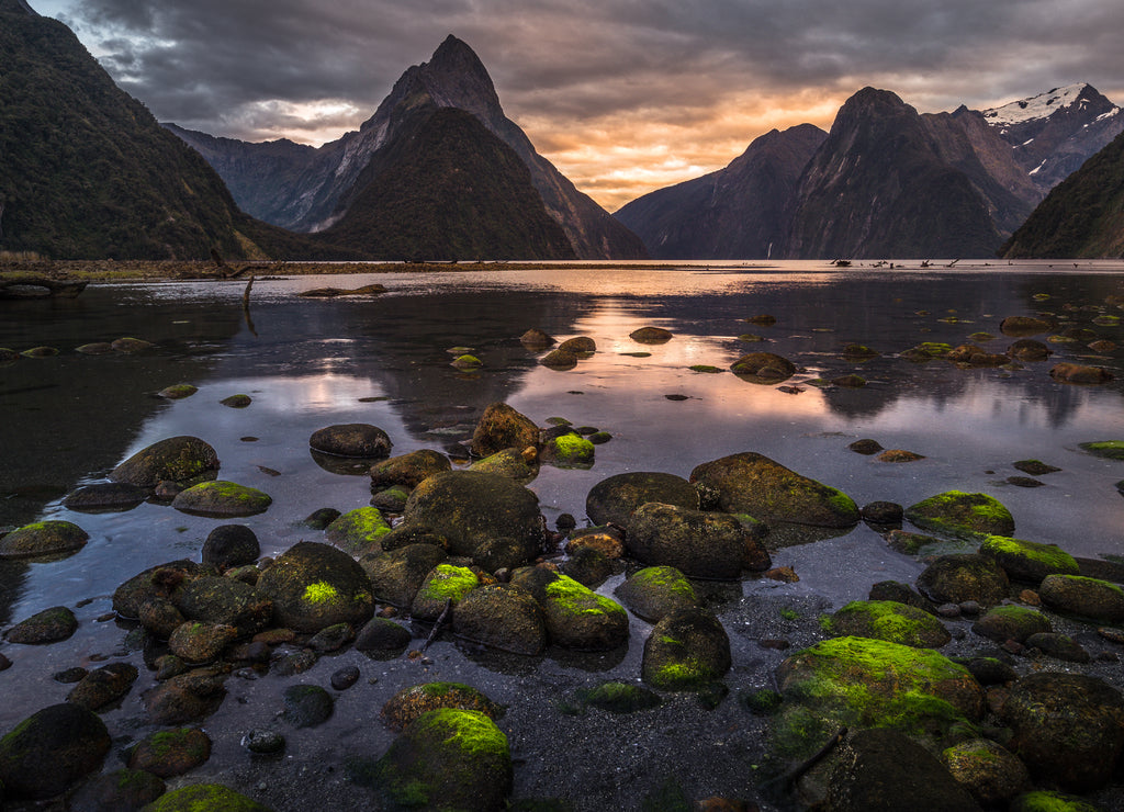 Milford Sound (Piopiotahi) is a famous attraction in the Fiordland National Park, New Zealand's South