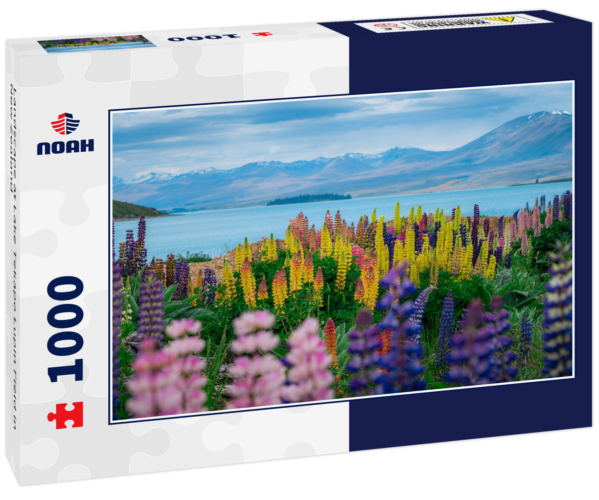 Landscape at Lake Tekapo Lupin Field in New Zealand