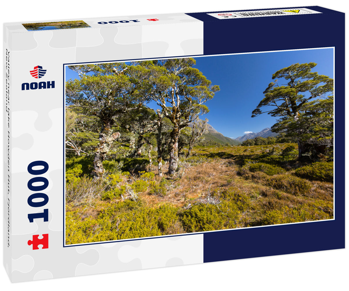 Valley near lake Howden Hut, Fjordland, New Zealand