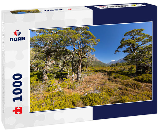 Valley near lake Howden Hut, Fjordland, New Zealand