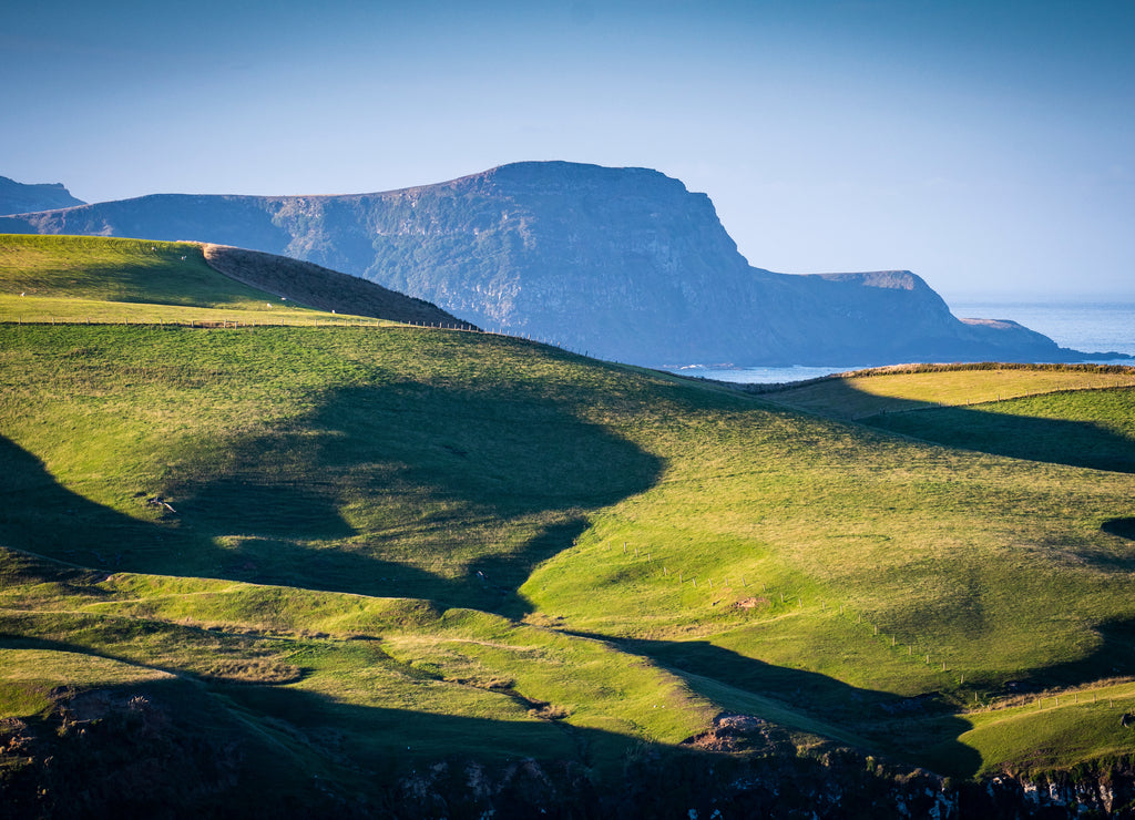Beautiful Dunedin landscape on the Otago Peninsula in New Zealand