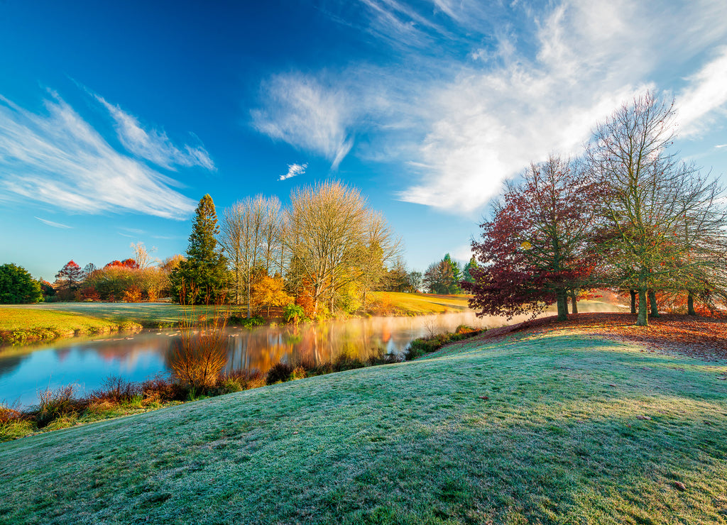 New Zealand - Waikato - Autumn Landscapes