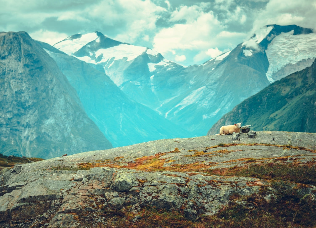 Scenic Norwegian Landscape