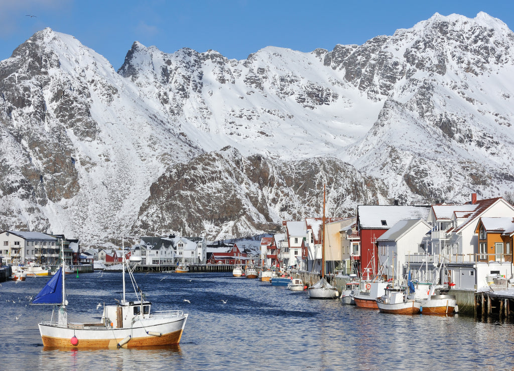 Marina and town in front of snowy mountain range, Norway