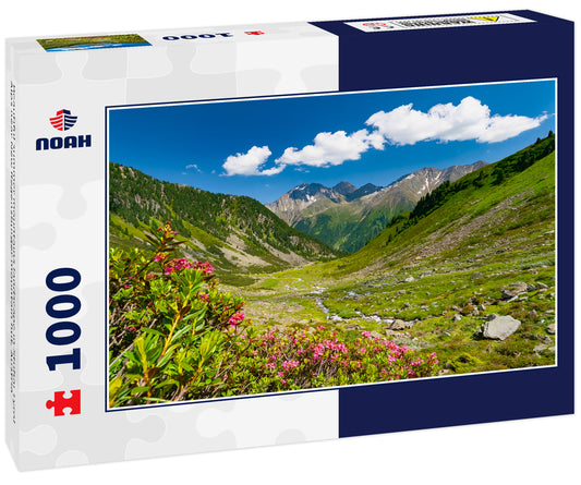 Beautiful summer mountains landscape in Stubai Tyrol Alps near New Regensburger mountain hut, Austria