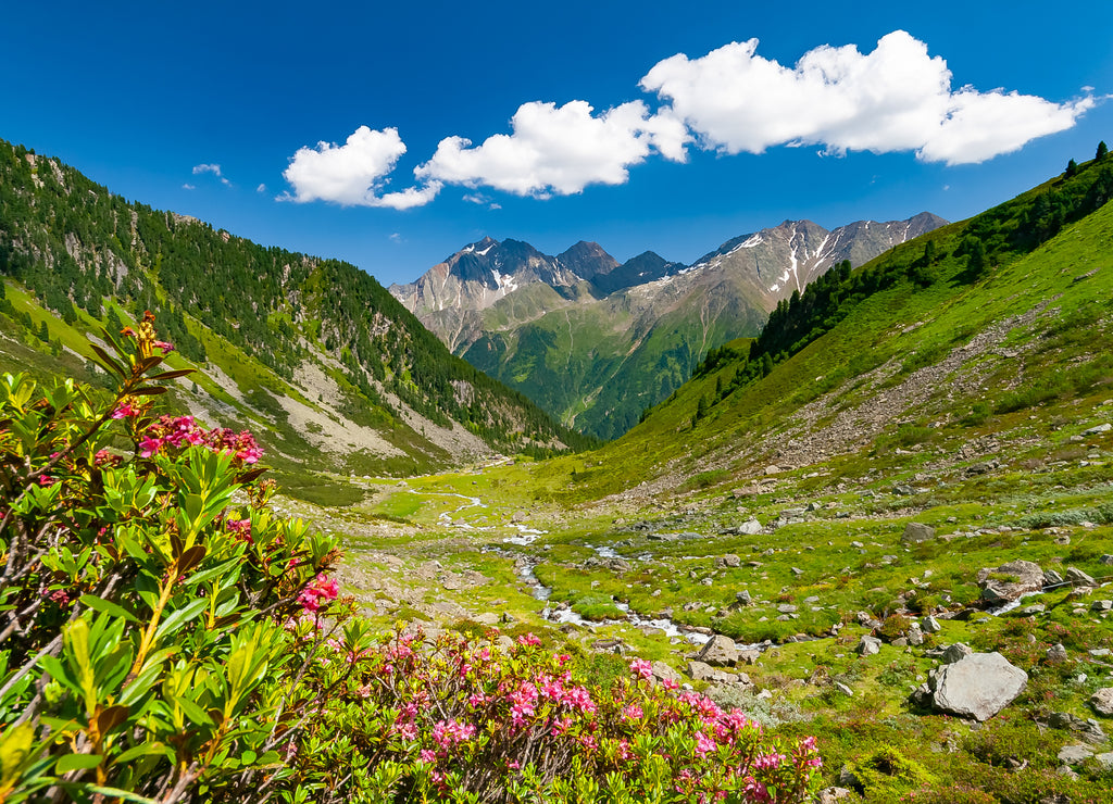Beautiful summer mountains landscape in Stubai Tyrol Alps near New Regensburger mountain hut, Austria