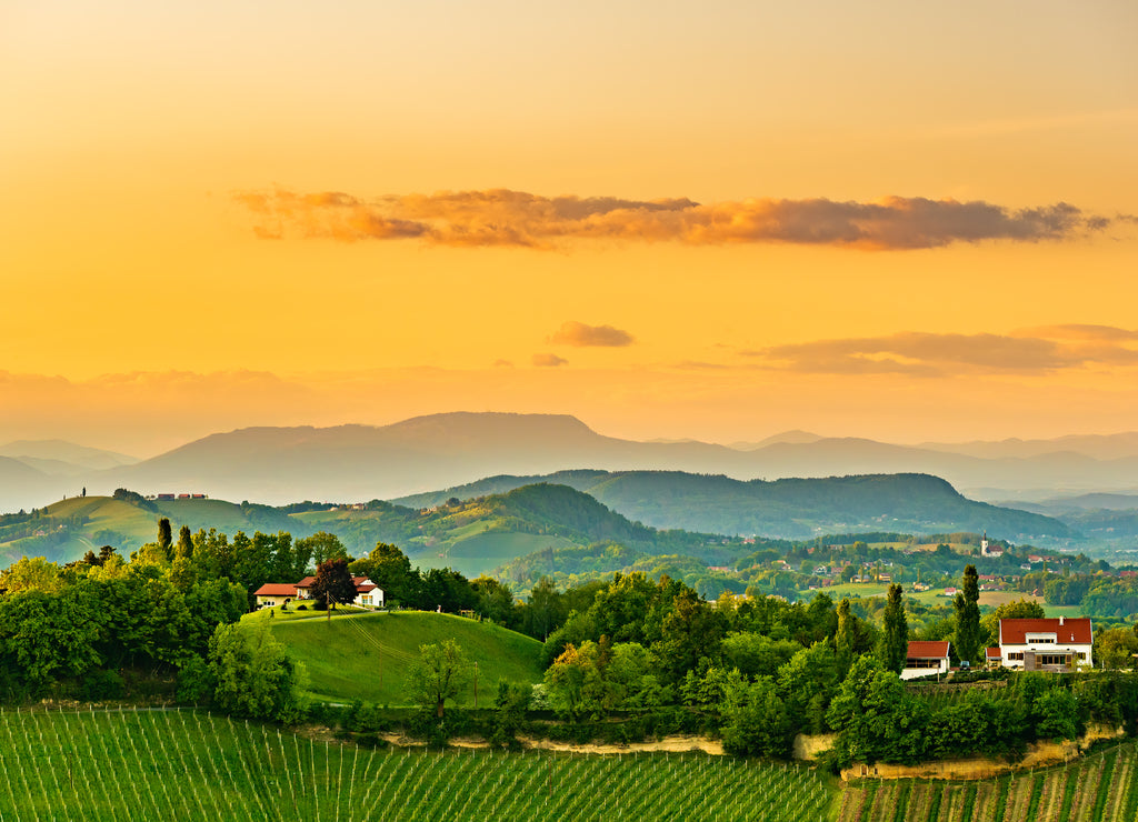 South styria vineyards landscape, near Gamlitz, Austria, Europe