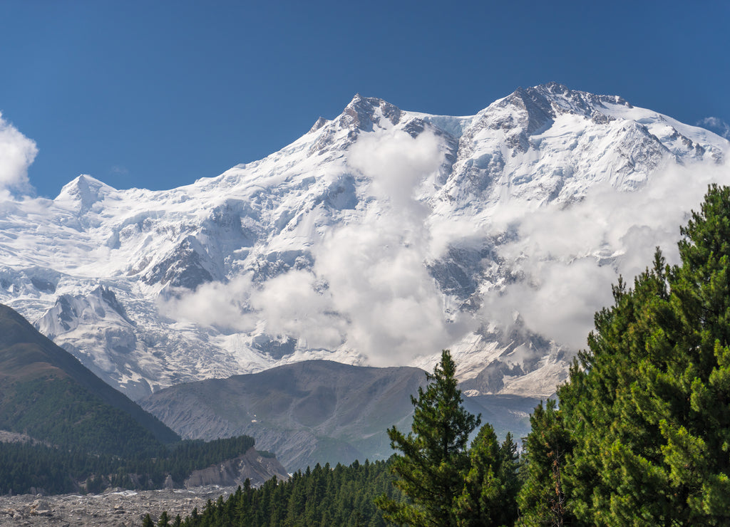 Nanga Parbat mountain massif in Himalaya mountains range and pine tree view from Fairy meadow in summer season, Chilas, Pakistan, Asia