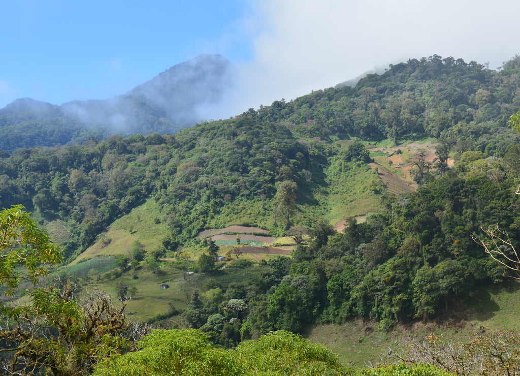 Panoramic View Fields Panama