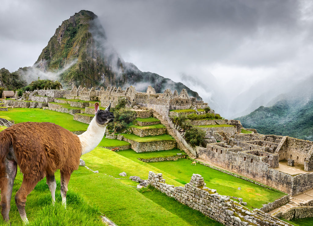 Machu Picchu, Cusco - Peru