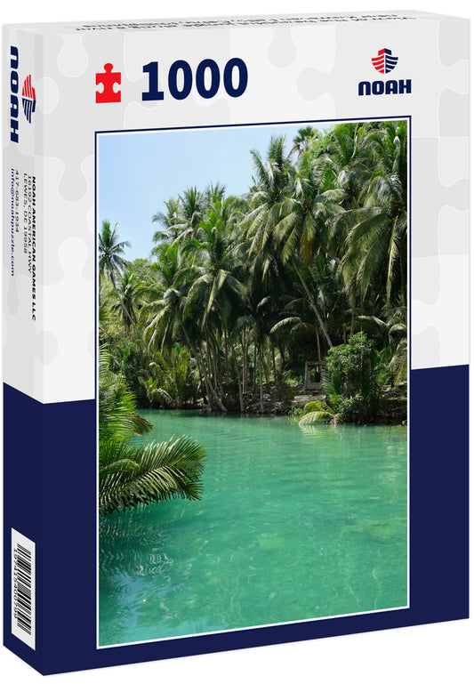 View of the beautiful jungle along a river near Kawasan Falls, Cebu, Philippines