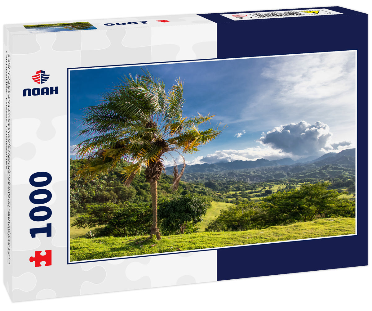 Palm Tree on Green Hill Overlooking Tropical Forests and Jagged Mountains outside of Clark, Philippines - Pampanga, Luzon, Philippines