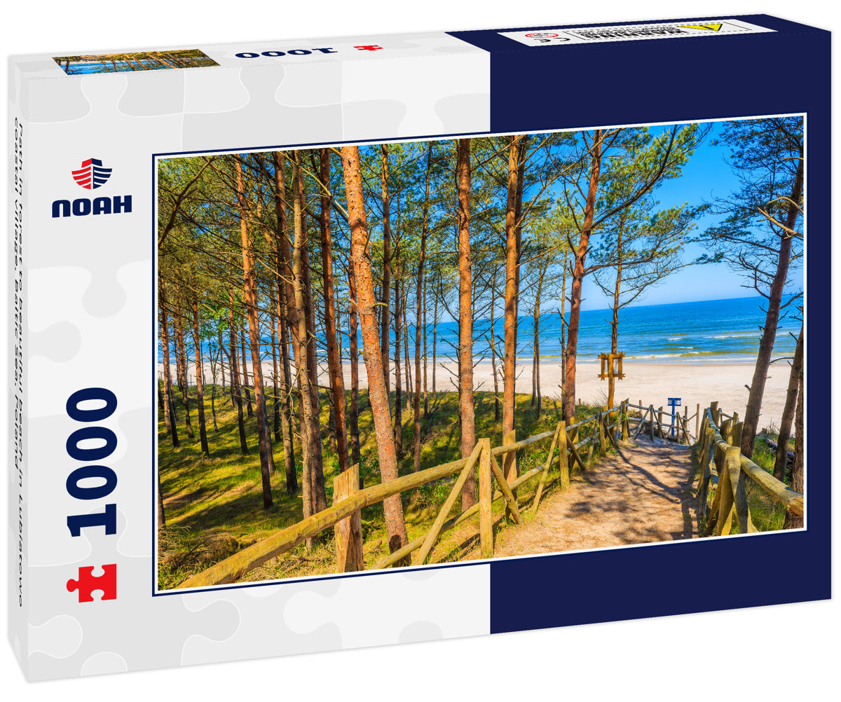 Path in forest to beautiful beach in Lubiatowo coastal village, Baltic Sea, Poland