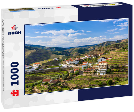 Landscape of the Douro river regionin Portugal - Vineyards