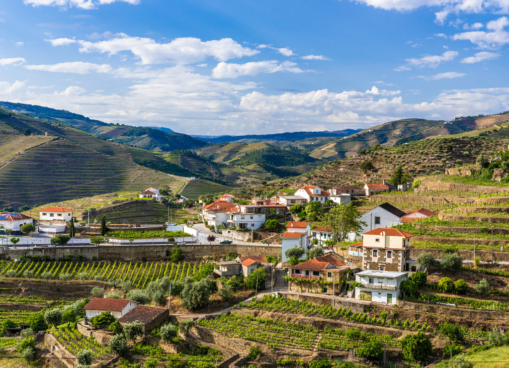 Landscape of the Douro river regionin Portugal - Vineyards