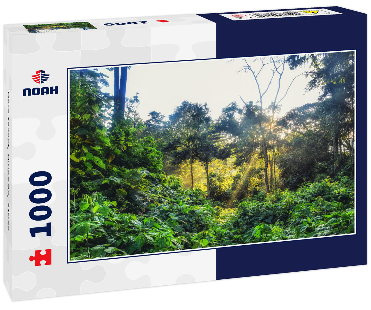 Rain forest, Rwanda, Africa