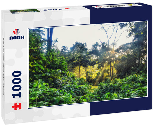 Rain forest, Rwanda, Africa