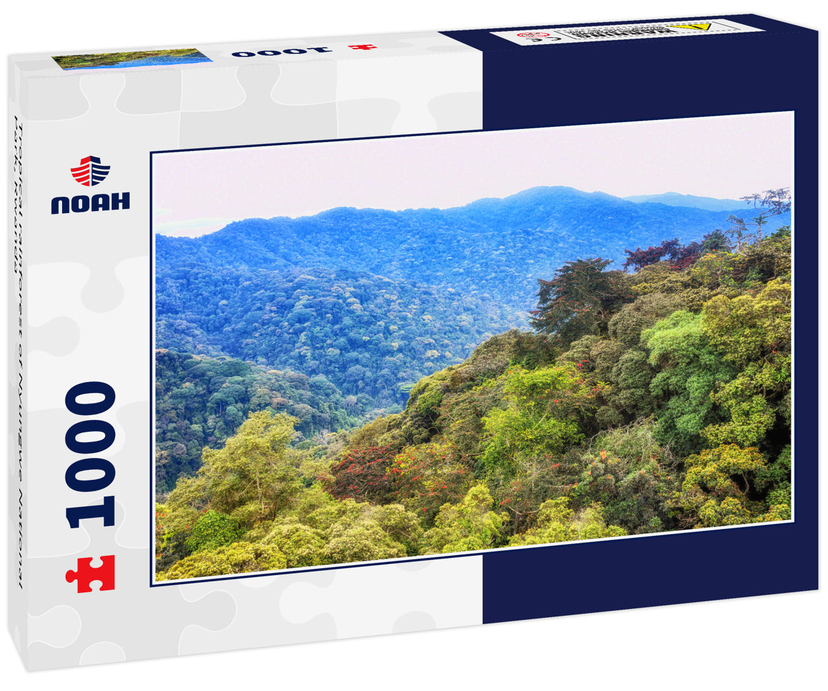 Tropical rainforest of Nyungwe National Park, Rwanda